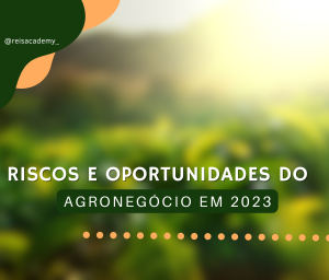 Riscos e oportunidades do agronegócio