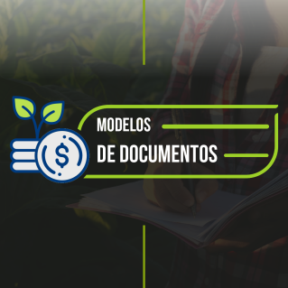 MODELO DE DOCUMENTOS